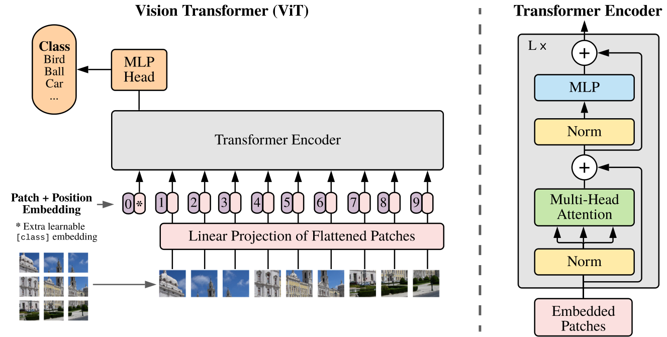 Original ViT overview: image patches, linear projection, positions and class token, Transformer encoder, and classification head; an expanded encoder appears on the right