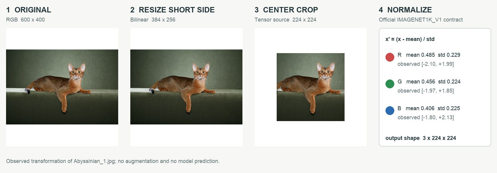 DL course preprocessing contract for the pretrained pet classifier