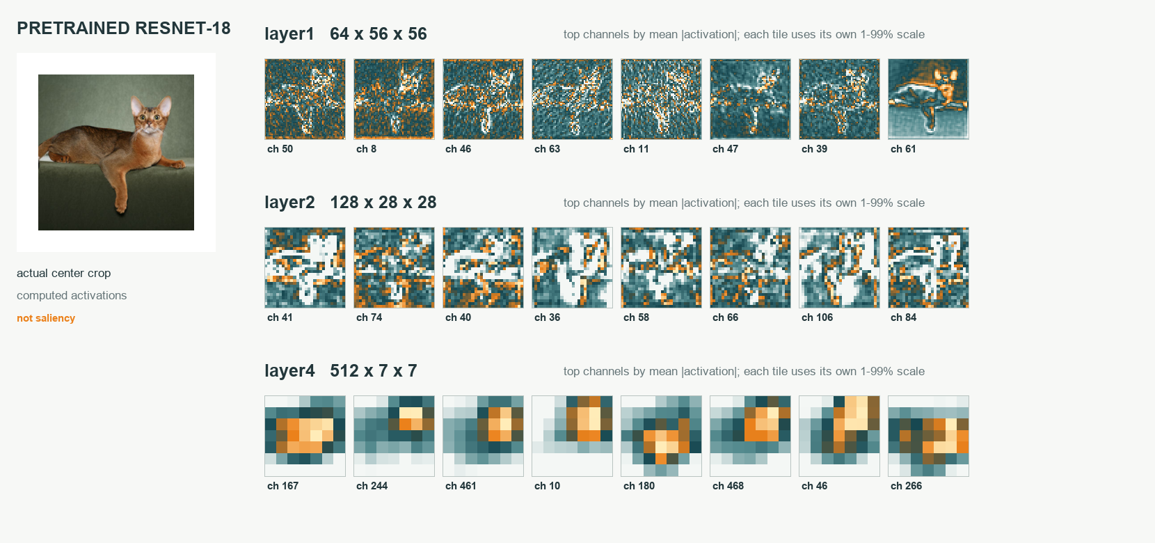 Actual pretrained ResNet-18 activations from the DL course evidence